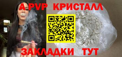 прущие грибы Нальчик