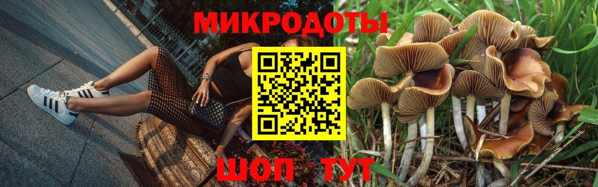 купить   Вход с VPN  Тара  Галлюциногенные грибы мицелий 